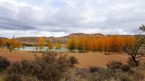 Scenic view of field against sky