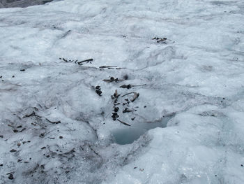 High angle view of footprints on snow covered landscape