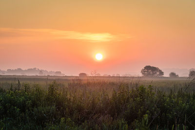 Scenic view of field against sky during sunset