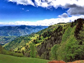 Scenic view of tree mountains against sky