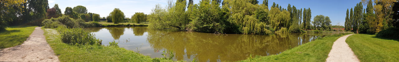 Panoramic view of lake and trees against sky