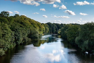 Scenic view of river amidst trees in forest against sky