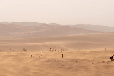 Scenic view of desert against sky