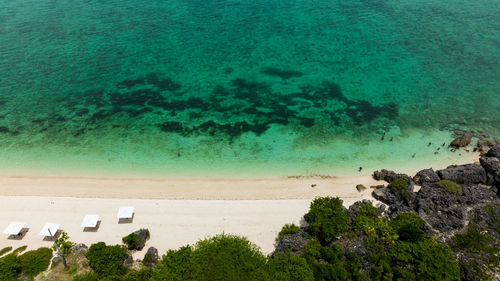 Aerial drone of tropical beach with palm trees and a blue ocean. bantayan island, philippines.