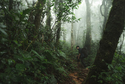 A man is walking on the path toward mountain top in the middle of forest