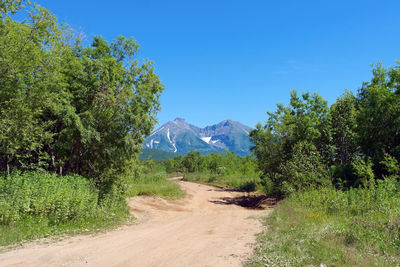 Scenic view of trees and mountains against clear blue sky