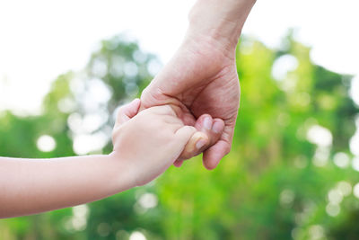 Cropped hand of woman holding hands