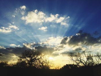 Low angle view of silhouette trees against sky at sunset