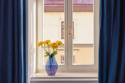 Yellow flowers in a glass blue vase on a windowsill in the room with dark blue curtains