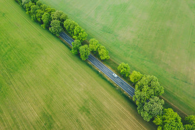 Aerial view of electric car driving on a road under trees in a green landscape