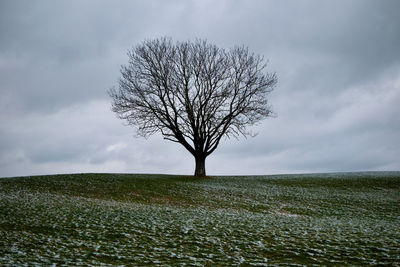 nature