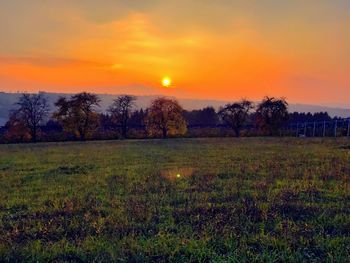 Scenic view of field against sky during sunset