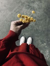 Low section of person holding white flower