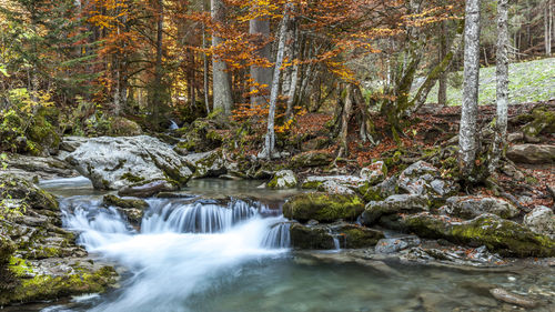 Waterfall in forest