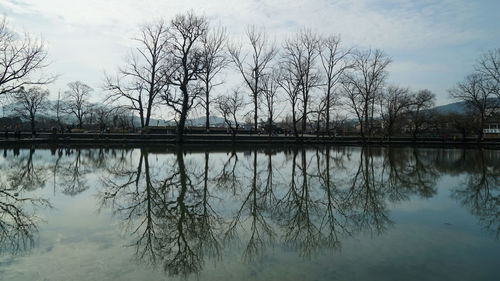 Reflection of trees in lake