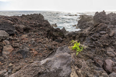 Scenic view of rocks on beach against sky