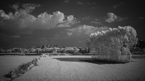 Panoramic shot of land against sky