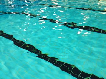 High angle view of swimming pool