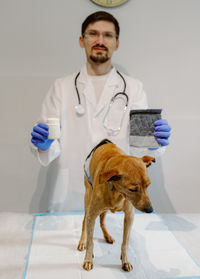 Portrait of dog standing against white background
