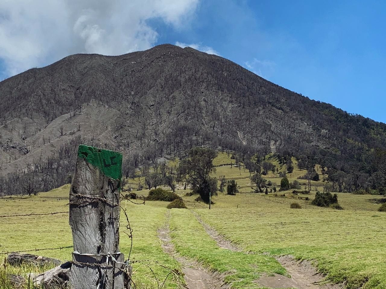 mountain, sky, landscape, tranquil scene, beauty in nature, environment, plant, tranquility, scenics - nature, nature, grass, no people, land, day, non-urban scene, tree, field, green color, cloud - sky, mountain range, outdoors