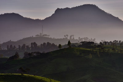 Scenic view of field against sky during foggy weather