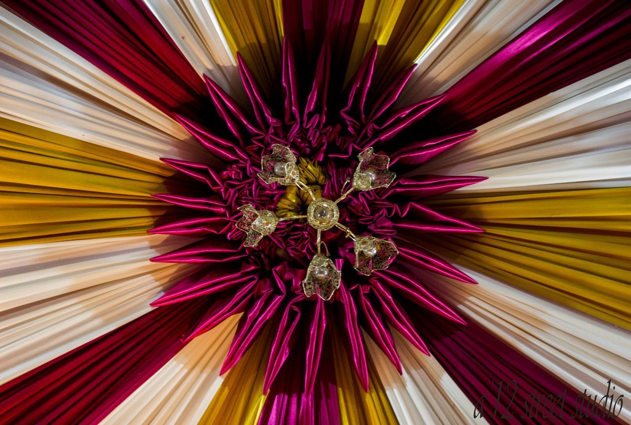 full frame, multi colored, flower, backgrounds, close-up, colorful, petal, pink color, yellow, flower head, pattern, no people, textured, indoors, design, purple, vibrant color, fragility, freshness, red