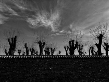 Trees against sky