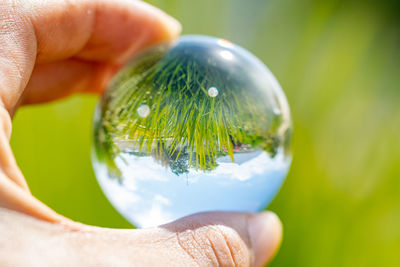 A view of a garden image inverted through a glass sphere in my hand