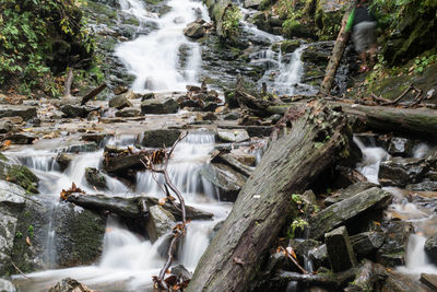 Close-up of waterfall in forest