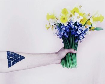 Close-up of white flowers over white background