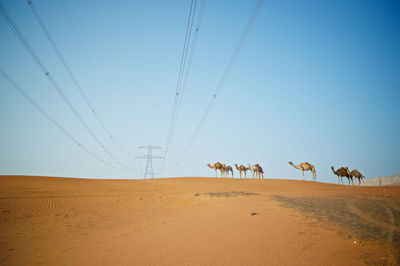 Scenic view of desert against clear sky