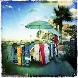 View of trees against sky