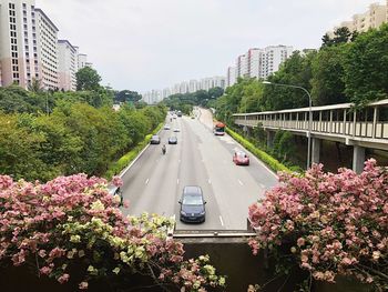 Cars moving on road amidst plants and trees against sky