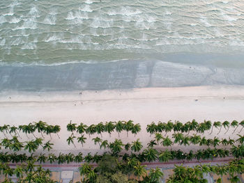 High angle view of field