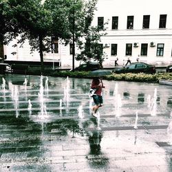 Reflection of trees on puddle in city