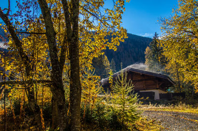 Scenic view of trees and houses against sky during autumn