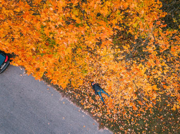 High angle view of road during autumn