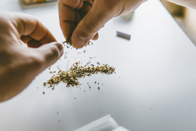 Cropped hands of man making marijuana joints over table