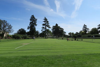 Trees on grassy field