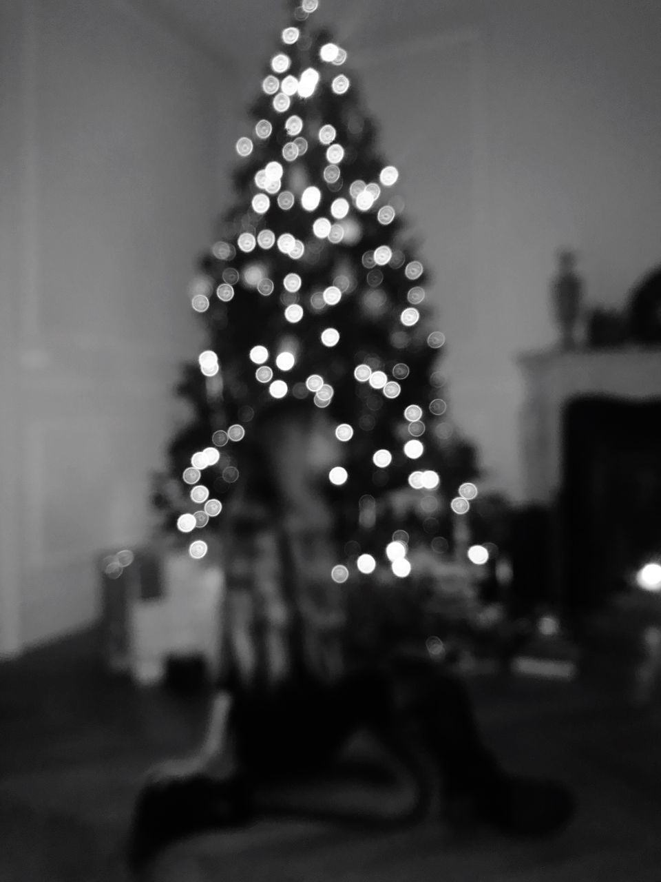 christmas, christmas tree, illuminated, christmas decoration, celebration, christmas lights, night, focus on foreground, tree, defocused, holiday - event, christmas ornament, tree topper, indoors, no people, close-up