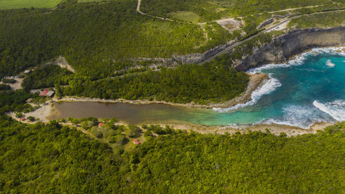 High angle view of trees by sea