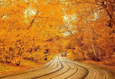 Road amidst trees during autumn