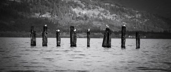 Group of people in the lake