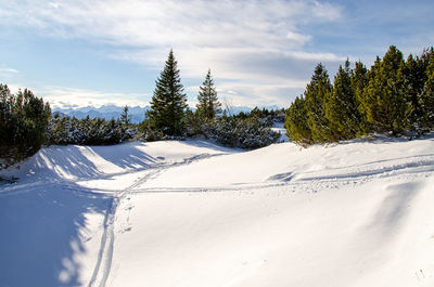 Ski tracks on powder snowcapped mountain peak