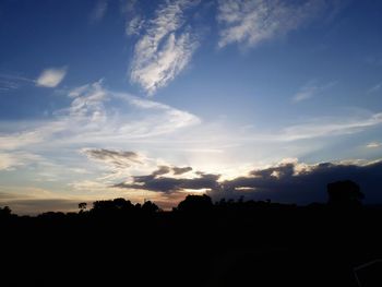 Silhouette trees against sky during sunset