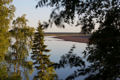 Reflection of trees in lake against sky