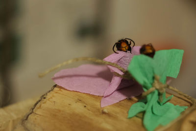 Close-up of paper on table