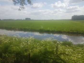 Scenic view of landscape against sky