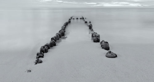 High angle view of wood on beach against sky