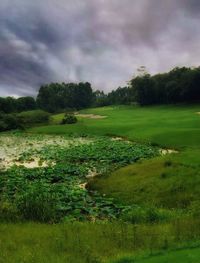 Scenic view of grassy field against cloudy sky